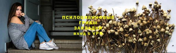 кокс Нея