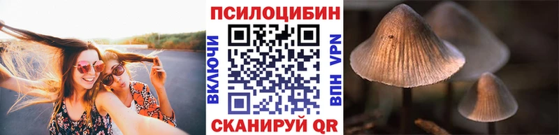 Купить где  Стерлитамак  Галлюциногенные грибы прущие грибы 